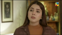 Wehshi - Episode 33 - 19th December 2022